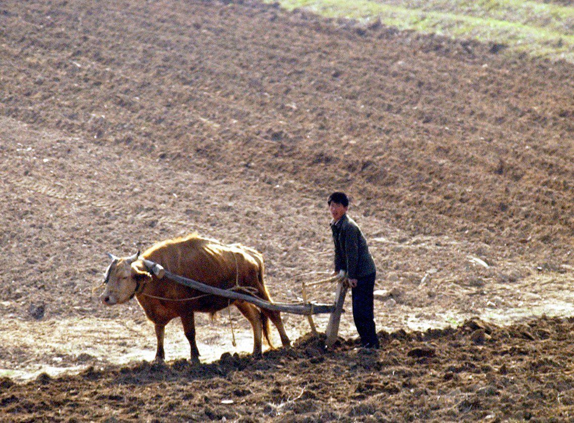 資料圖片。儘管在旱災後，北韓西部已於7月中旬重返降雨，但由於氣候與地理所導致的農...