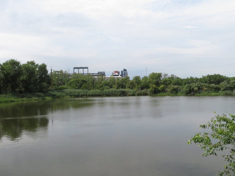 美國法拉盛溪水域呈深綠色，污染嚴重。（記者陳小寧／攝影）