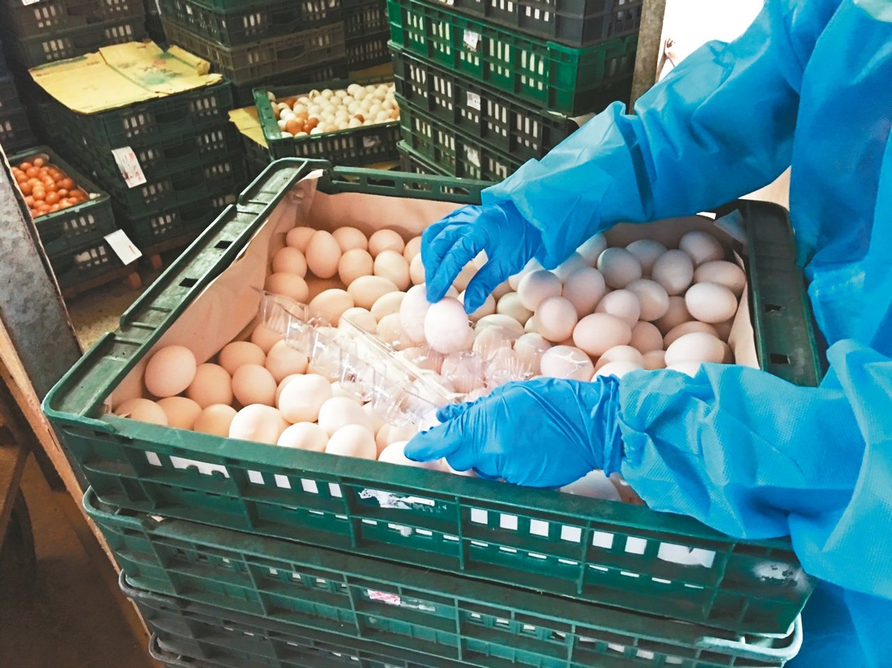 彰化縣衛生局、動物防疫所到養雞場採樣，送驗結果發現三場養雞場殘留芬普尼過高。