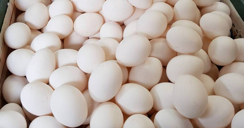 離開蛋雞場的蛋品可能透過業者間的交換，或在洗選場中混洗不同蛋，使得需要追溯時找不到清楚來源，成為食安漏洞。行政院食品安全辦公室要求食藥署，為業者建立管理指南。本報系資料照。