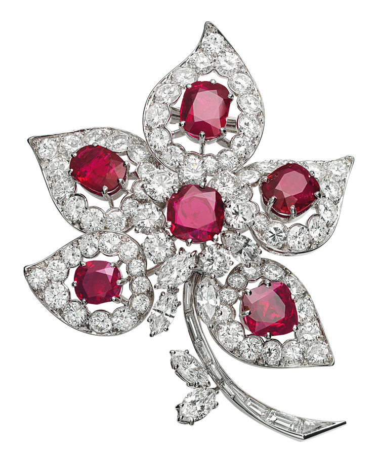 Five leaves胸針，1967年作品。鉑金、紅寶石、鑽石 原為歌劇家瑪麗亞‧卡拉絲的收藏品。圖／梵克雅寶提供