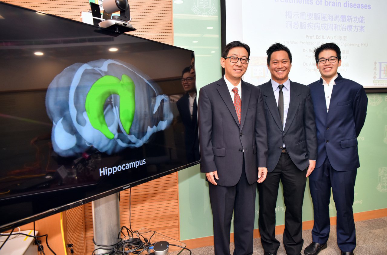 香港大學電機電子工程系教授、生物醫學工程首席教授吳學奎（左）帶領的團隊18日召開記者會，宣布發現大腦海馬體的新功能，對提升記憶力和治療認知障礙症等腦疾病帶來啟示。（新華社）