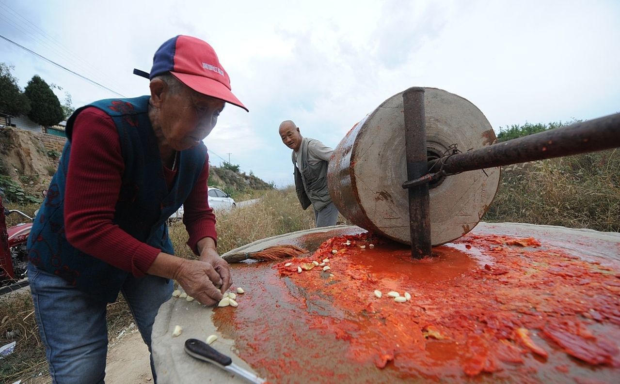 老人勤奮地推著石磨，為子女準備他們最愛的辣椒醬。（取材自觀察者網／視覺中國圖）