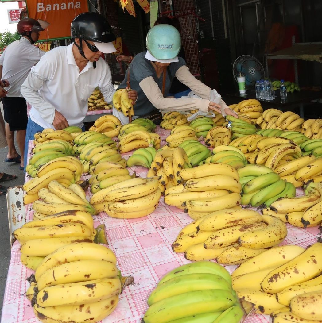 近期蕉價大跌，政府呼籲民眾多多選購，支持國產水果也照顧農民。圖／報系資料庫