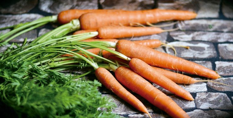 數人知道多食胡蘿蔔對眼睛有利，因胡蘿蔔富含β-胡蘿蔔素，在體內會轉化為維生素A，...