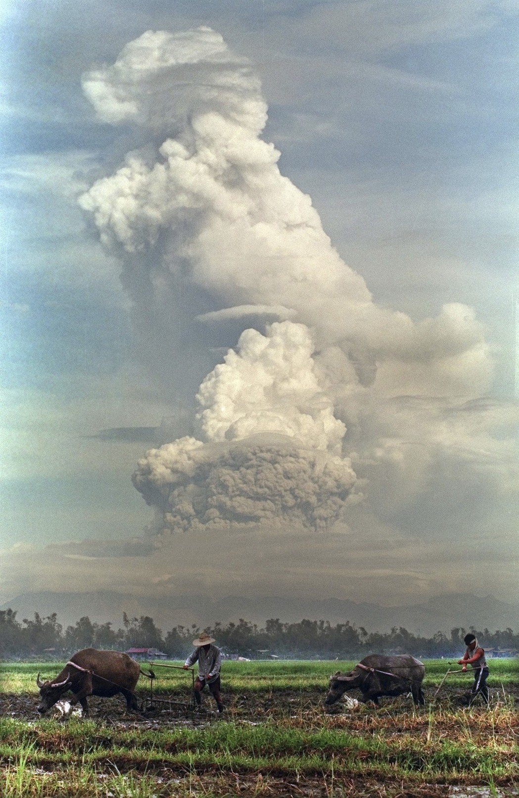 1991年菲律賓皮納圖博火山大爆發，噴出濃煙與火山灰。 美聯社