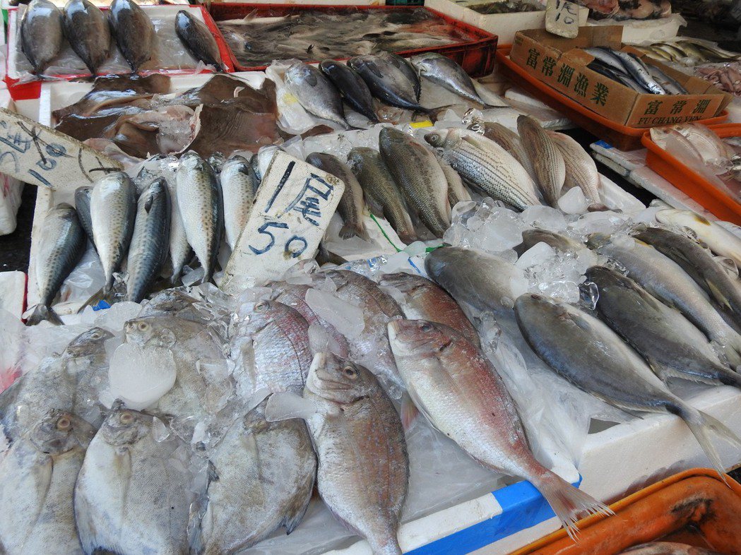 民眾若吃魚補充DHA，但擔心重金屬汙染，可選擇鯖魚、白帶魚、鱈魚等體型較小的魚類。 記者賴香珊／攝影