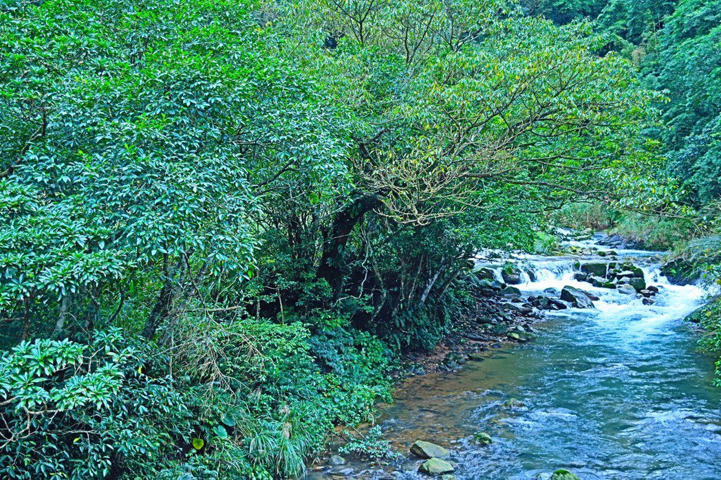 雙溪水庫預定地丁蘭谷，是個生態豐富的自然寶庫。 圖／簡淑慧提供