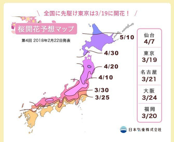 日本氣象株式會社公布最新的櫻花開花估計時間。圖／截自日本氣象株式會社官網
