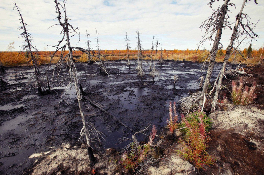 由於科米與極圈接壤，酷寒的天氣讓石油難以蒸發，過去的經驗顯示，漏油會嚴重擴散至沼...