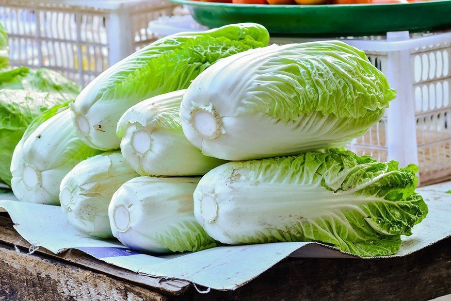 大白菜具有較高的營養價值，特別是當中含有較為豐富的維生素C和微量元素硒，能對抗「自由基」對細胞的損傷作用，因此可延緩人體的衰老過程。 圖／ingimage