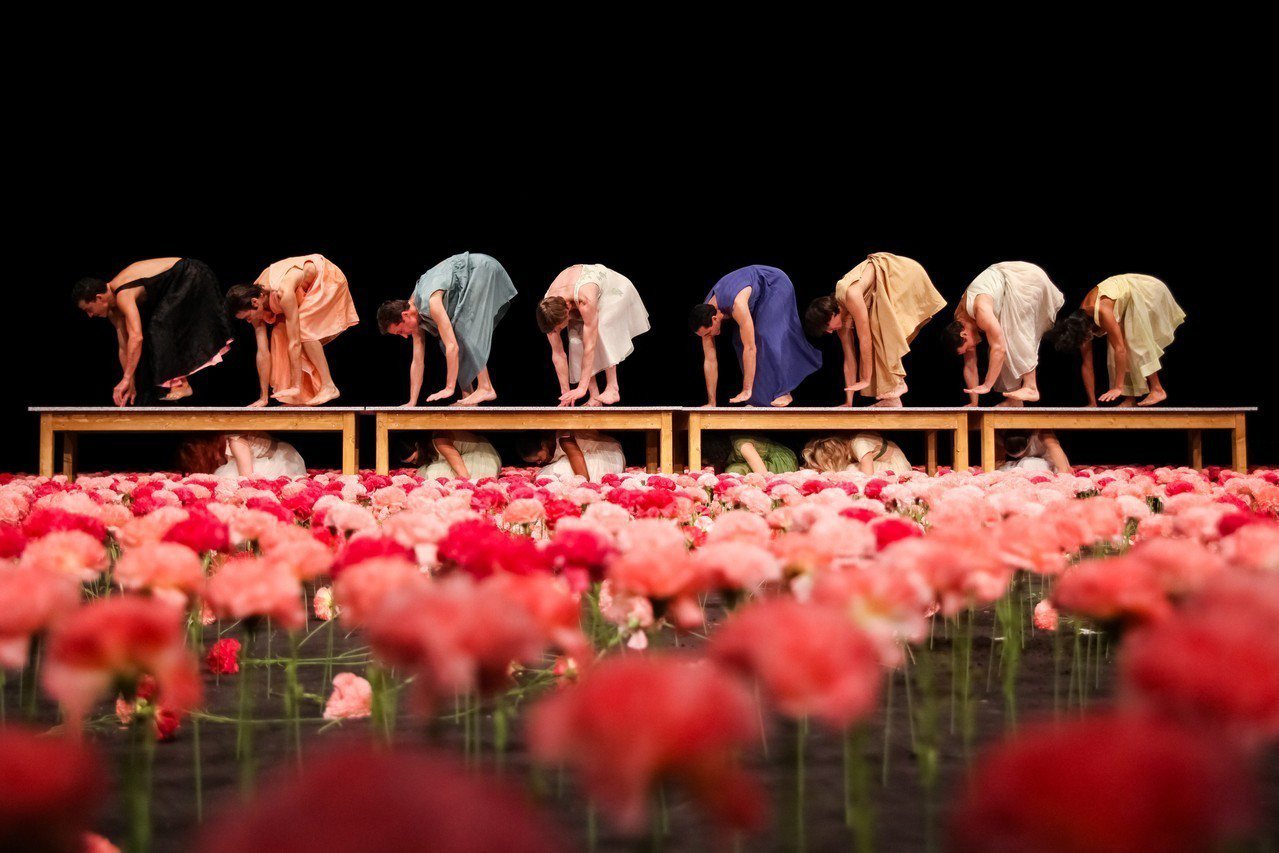 碧娜鮑許經典舞作《康乃馨》，舞台上佈滿數千朵粉色系的康乃馨。圖／兩廳院提供