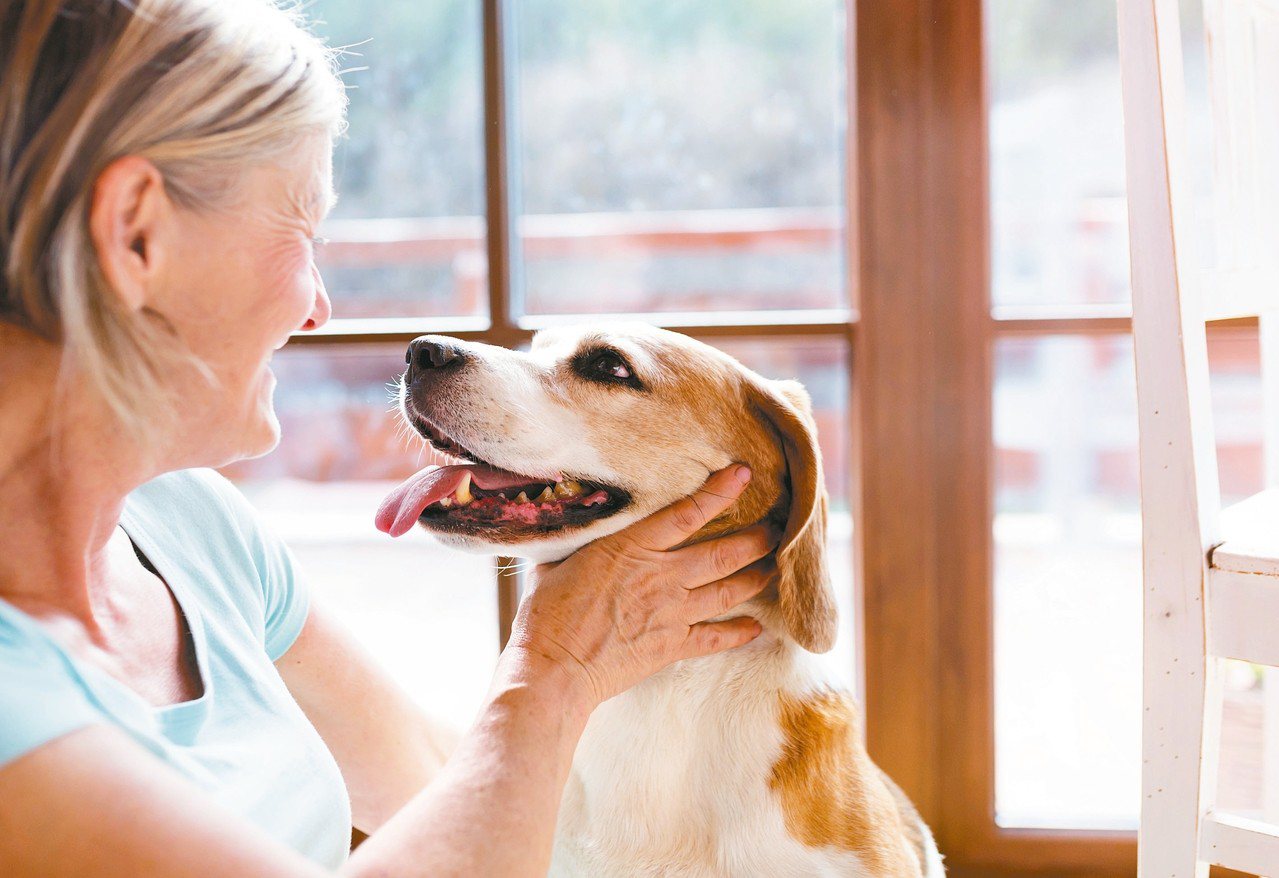 研究指出，飼養寵物對於長輩而言，可以增加快樂感，更可以幫助社交活動，有研究顯示可減緩失智。<br />圖／RF123