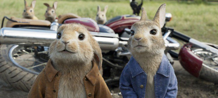 「比得兔」在歐美締造票房佳績，春假在台盛大上映。圖／索尼提供