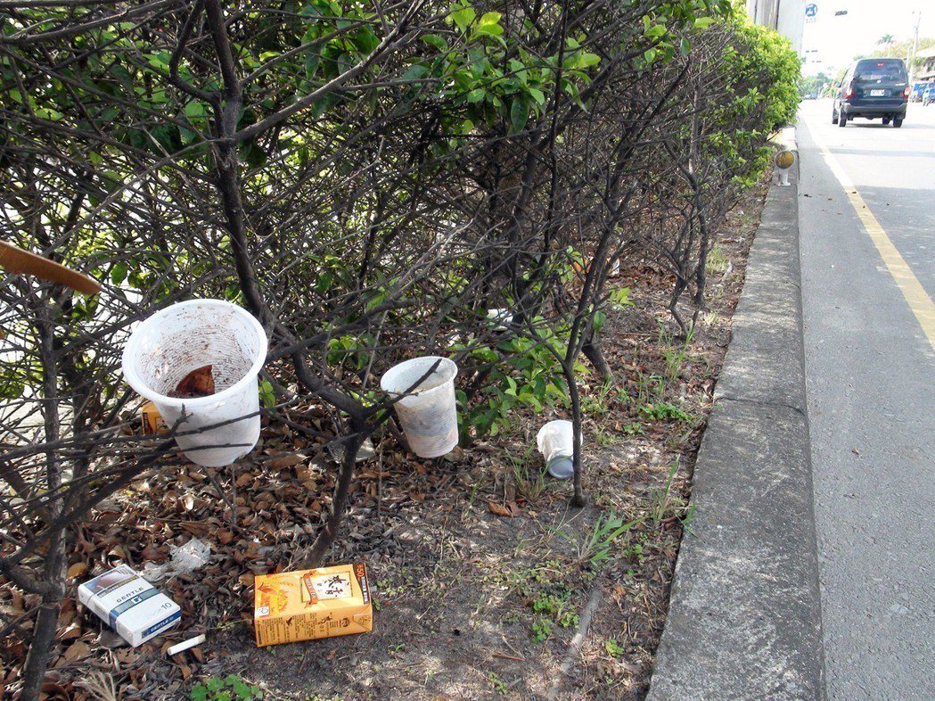 安全島樹叢上常常夾雜著檳榔汁、菸蒂、紙團等廢棄物。 圖／聯合報系資料照片
