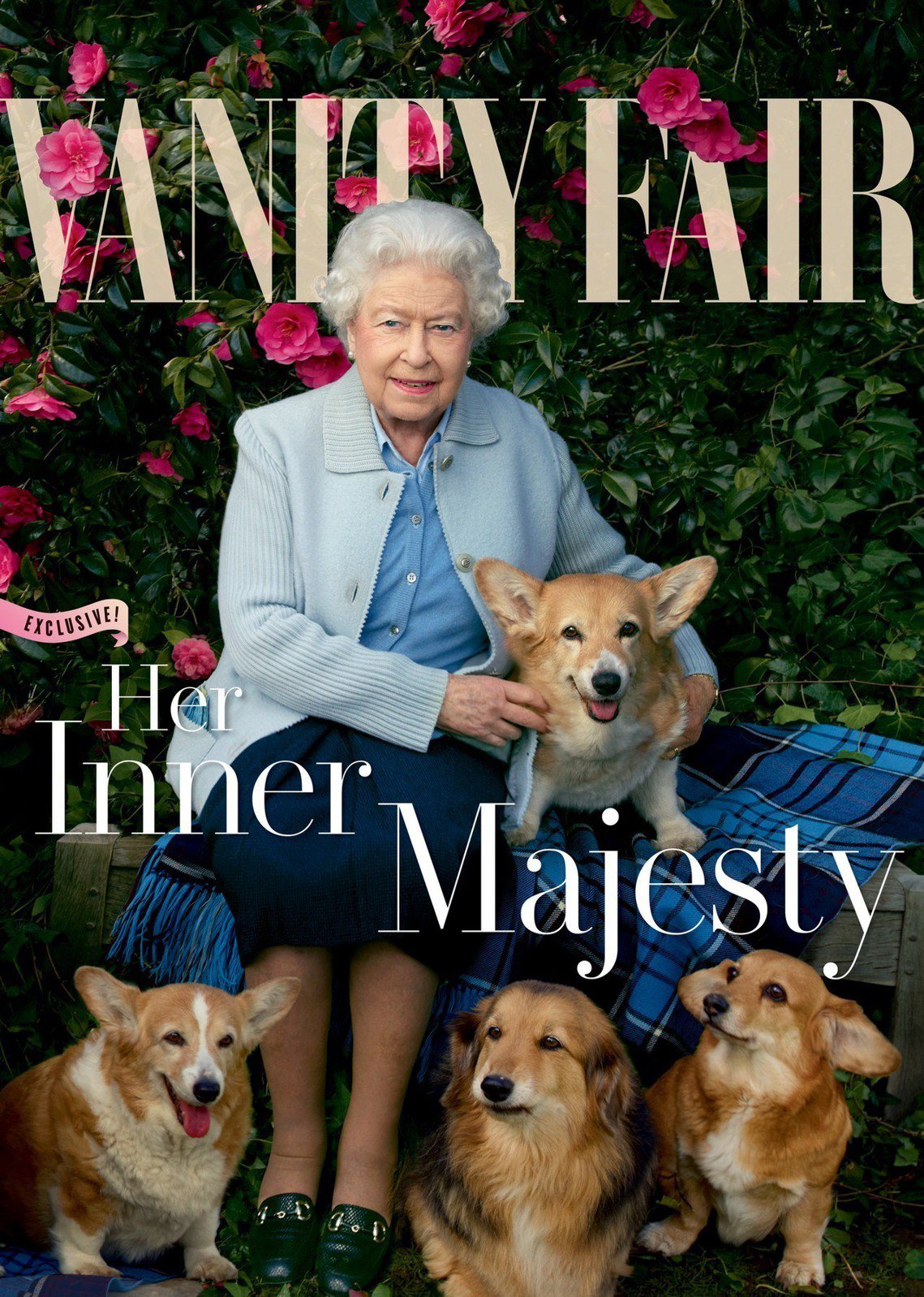 威洛與另外3隻狗跟著主人伊莉莎白二世登上《浮華世界》雜誌封面。 圖／美聯社