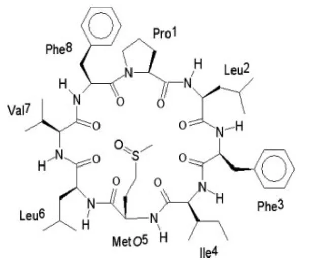 環狀胜肽（cylolinopeptide E）的結構 圖片提供／MedPartn...