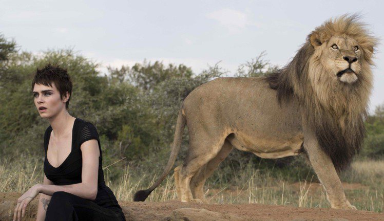 卡拉迪樂芬妮表示可以有機會和野生動物，特別是和獅子一起工作，是我長久以來的夢想！圖／TAG Heuer提供
