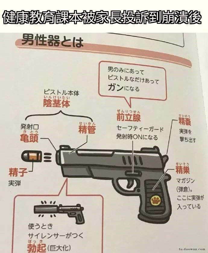 日本健教課本把男生殖器畫成手槍。取自臉書