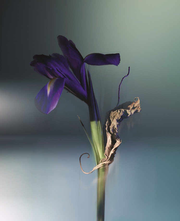 「ORAGE雷暴」選擇鳶尾花搭配廣藿香心，打造出令人眼睛一亮的木質香調。圖／路易威登提供