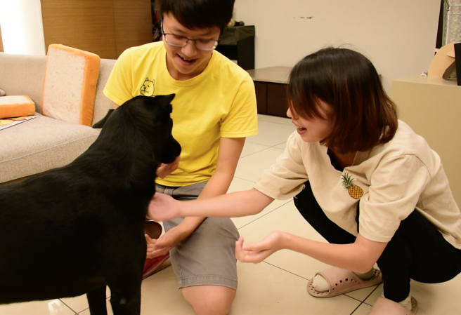 Lucy（左）以訓犬師的專業能力教導民眾如何正確的和狗狗相處互動。圖／生命力新聞...