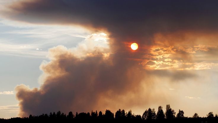 瑞典全國出現數十個林火，圖中可見一個林火濃煙蔽日。 （翻攝自網路）