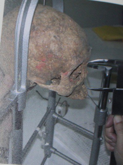 清大考古團隊測量清朝頭蓋骨。 記者張雅婷／翻攝