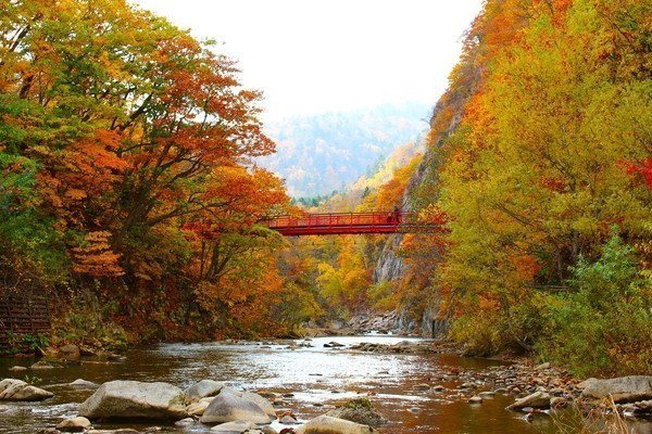 「二見吊橋」每逢秋季吊橋兩側將被漫山遍野的紅葉包圍。圖／樂天旅遊提供