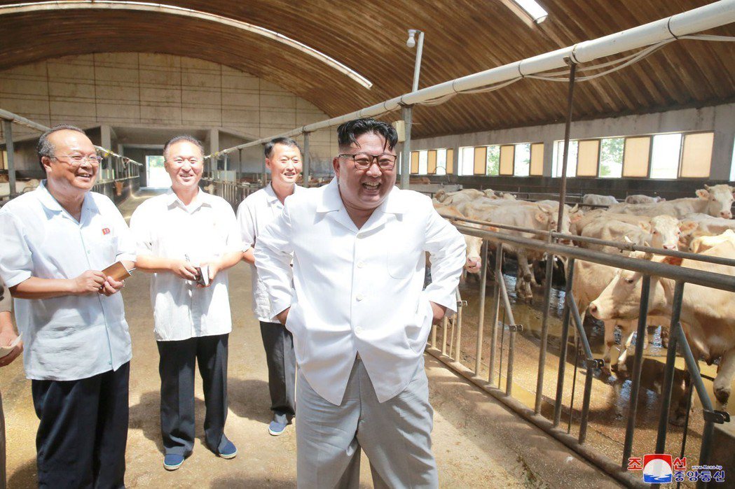 北韓中央通訊社13日發布北韓領導人金正恩（中）在雲谷畜牧場視察的照片。 （路透）