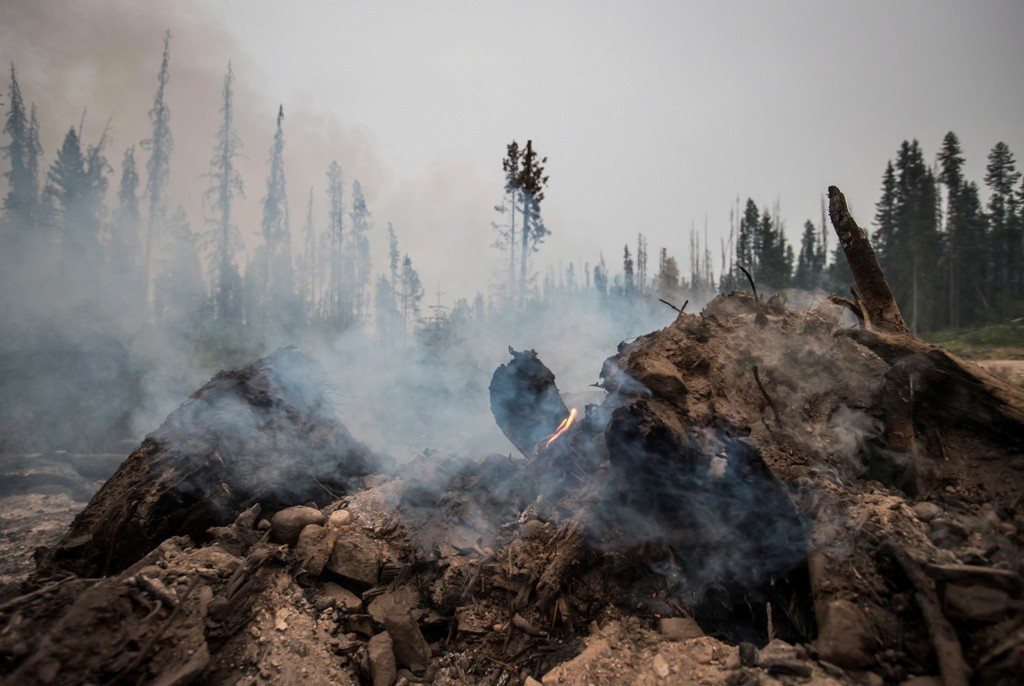 加拿大卑詩省野火蔓延，官方於16日宣布，全省進入緊急狀態。圖／美聯社
