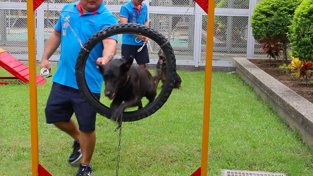 新竹監獄犬訓班除了幫助收容人通過寵物訓練師的考試，也成為收容人在監獄的心靈支柱。...