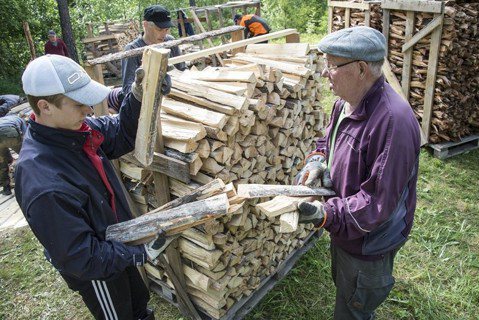 芬蘭現代林業困境：原始林、松樹林與松茸如何共存？