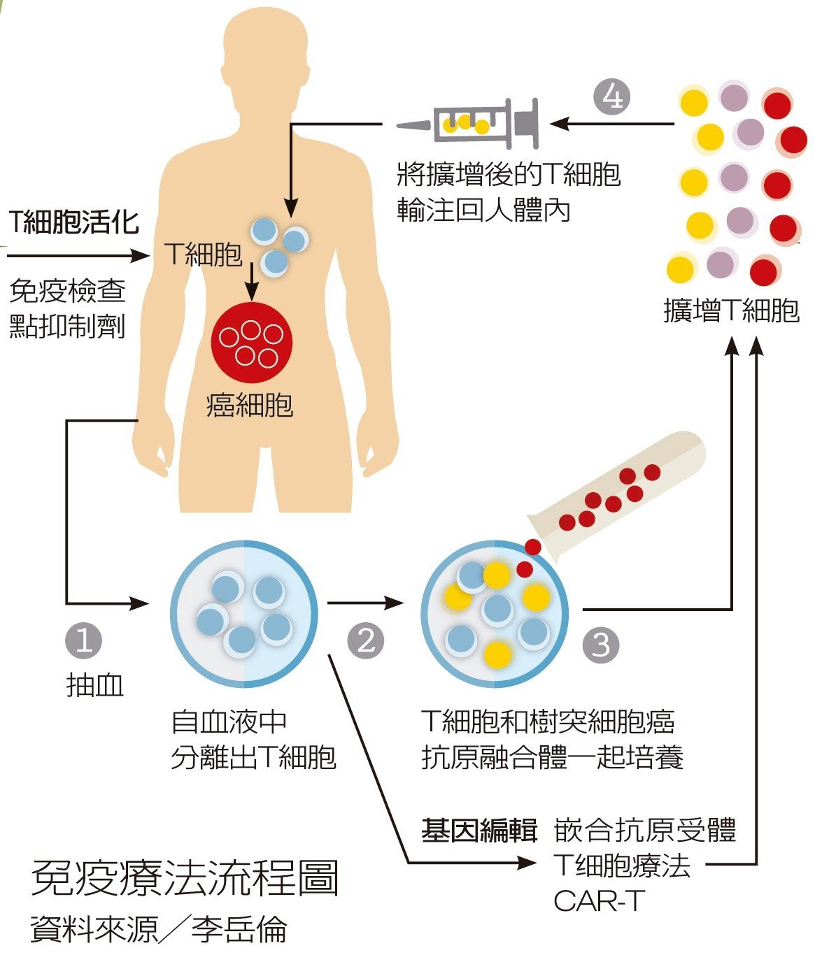 免疫療法流程圖