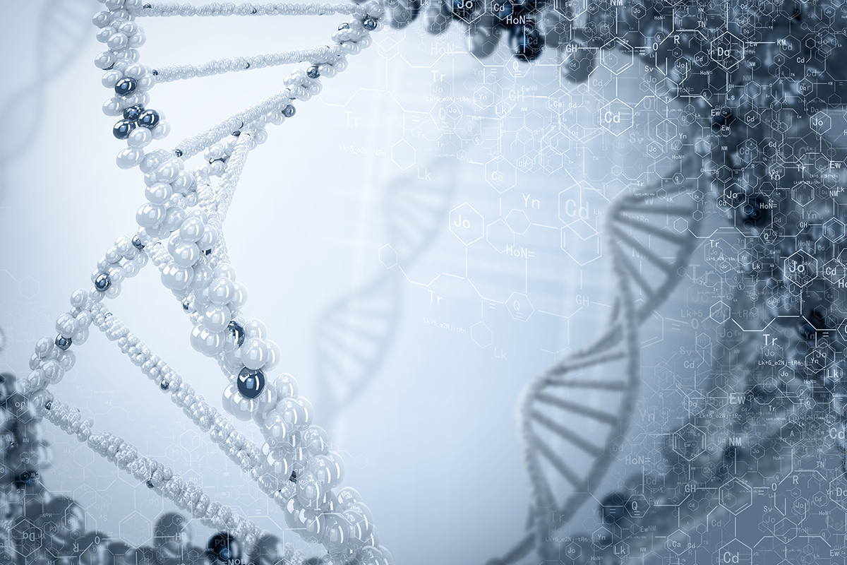 基因是指定調配出生物配方中的一行，人類基因組則是指定調配出人類的配方。