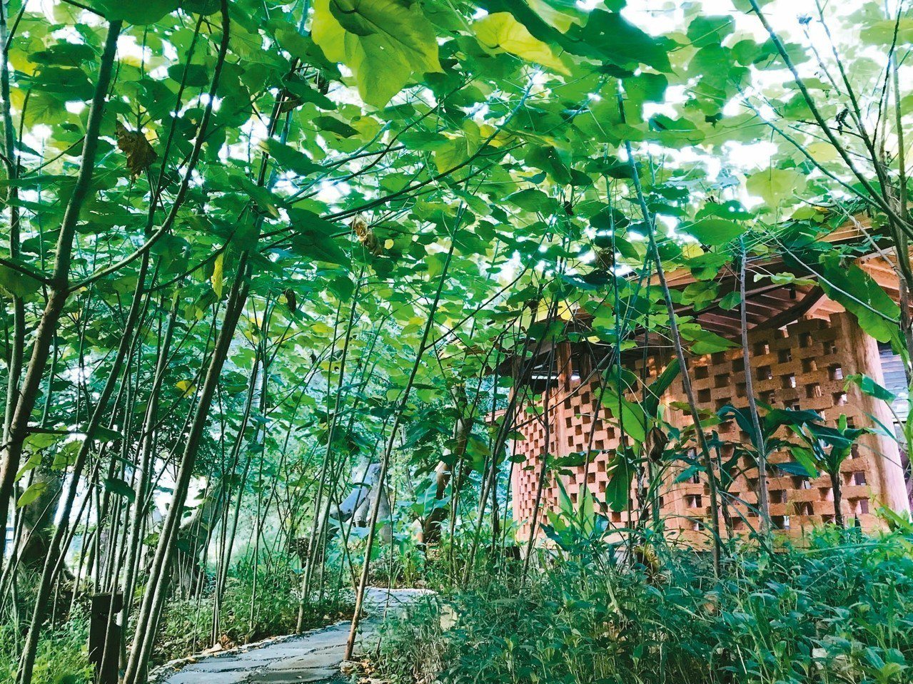 花博后里森林園區的「四口之家」，利用稻桿、木頭、黏土、沙等天然材料打造「永續屋」。