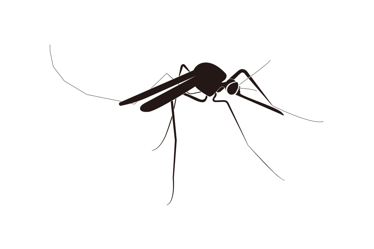 有一群會分泌毒液的動物每年造成數十萬人死亡，遠超過其他類群動物的十倍以上，也超過人類每年相殘的人數。這群動物來自蚊科（Culicidae），也就是蚊子。