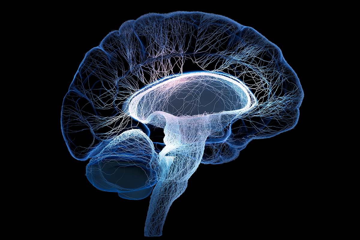 科學家發現，中年時面臨壓力，會使大腦縮小，記憶力變得更糟。研究顯示，壓力荷爾蒙高，可能是最終罹患失智症的早期預警信號。