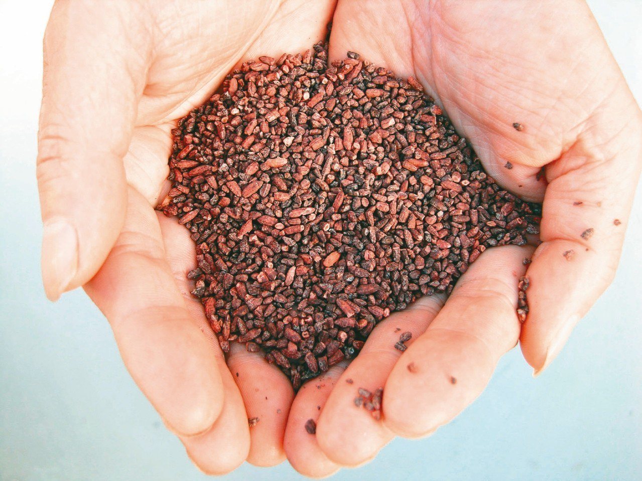 在發酵食物中，紅麴是傳統的天然食用色素。