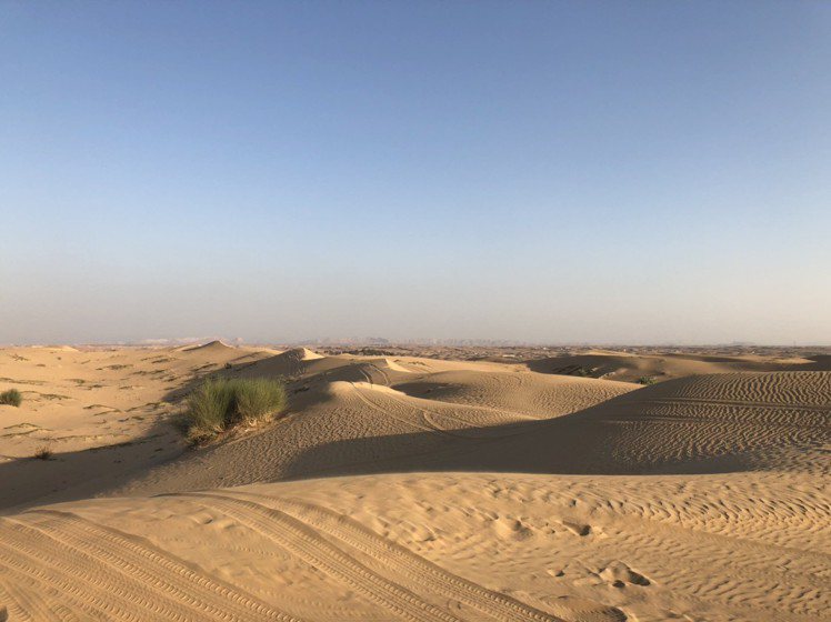 杜拜地處沙漠之中。圖／記者許晉榮攝影