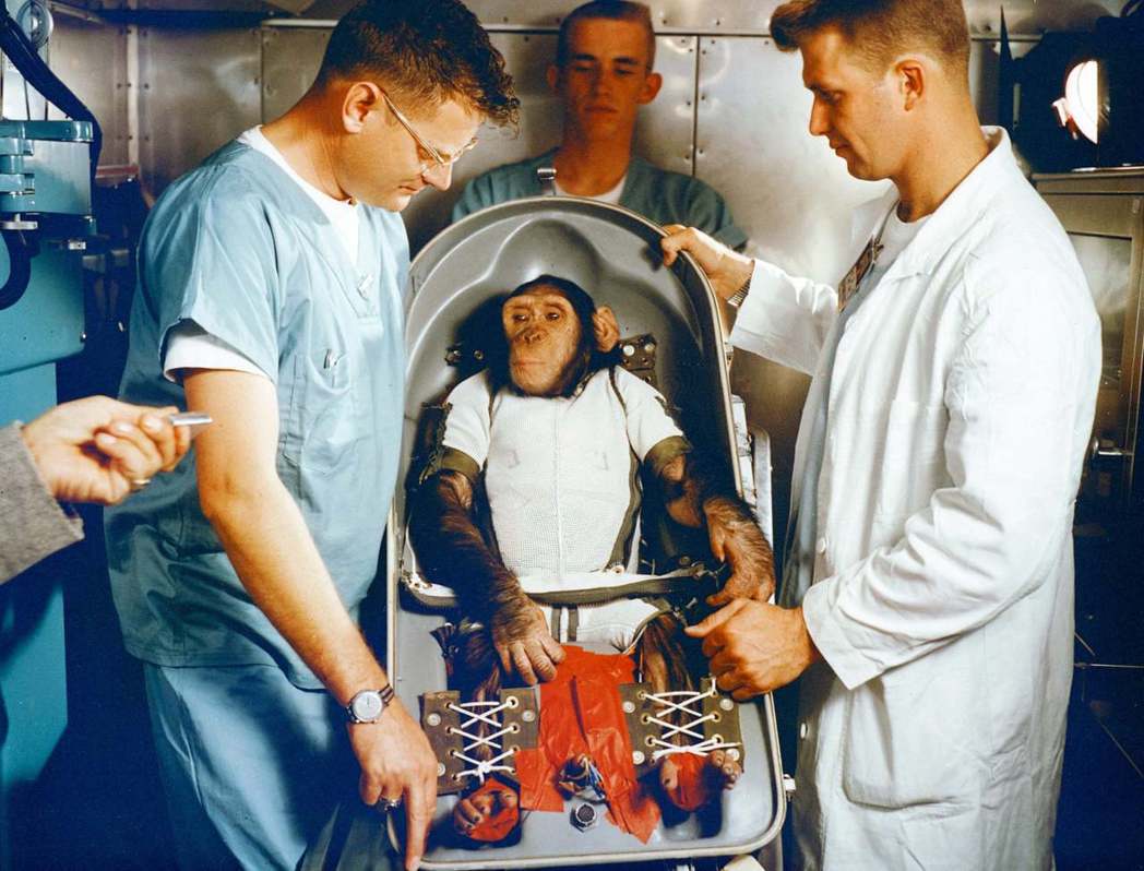黑猩猩漢姆與訓練牠的科學家們。 圖／取自NASA TV