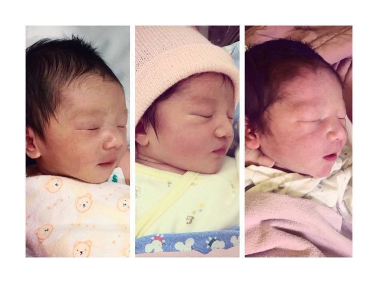 隋棠PO出3個孩子剛出生的照片，左起分別是Max、Lucy、Olie。圖／摘自臉書