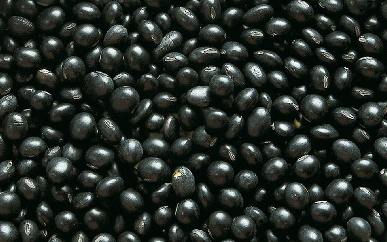 黑豆富含纖維質，有助降低膽固醇、穩定血糖。 資料來源／美國《預防》雜誌