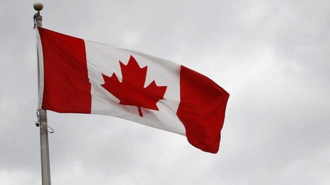 加拿大未來三年將引入逾百萬名新移民。圖為加拿大國旗。路透