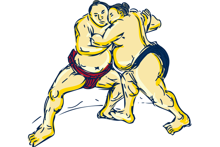 一般相撲選手的體重約落在一百三十五至一百八十公斤，身體具有大量的肌肉與脂肪。以任...
