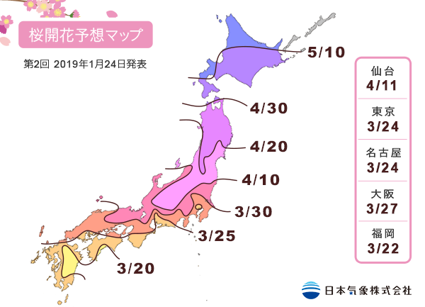 日本氣象株式會社最新的櫻花前線預測。圖／摘自官網