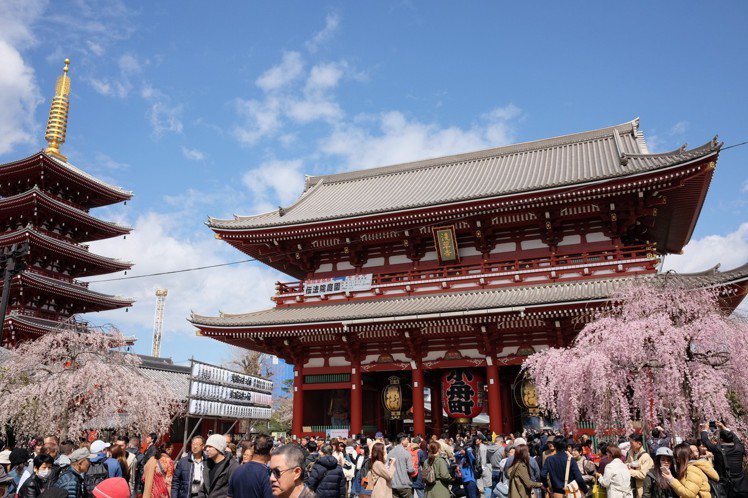 根據日本氣象株式會社最新櫻花前線，東京3月24日就會開花。圖／記者黃仕揚攝影