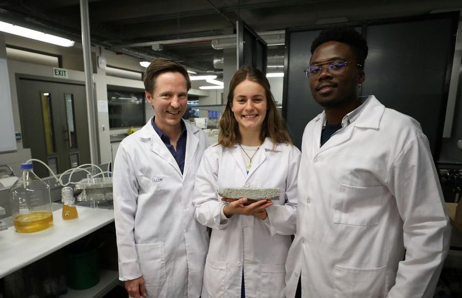 南非開普敦大學的科學家研發出尿素磚。 （路透）