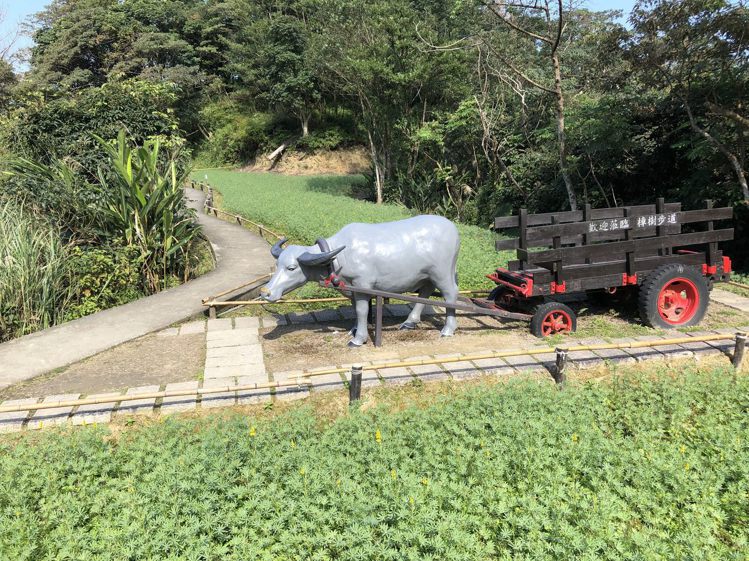 在樟樹步道可見到牛車、水車及腳踏車等農村意象。圖／取自台北市政府工務局大地工程處官網