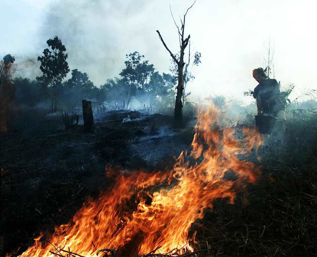 焚燒農地是印尼農耕文化的一部分，卻也帶來生態浩劫。
 （路透）