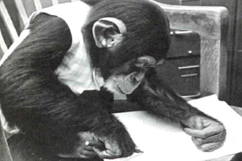 黑猩猩露西，人類文明中令人謙卑的身影